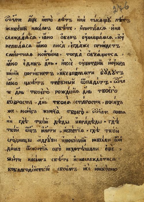 Страница 555