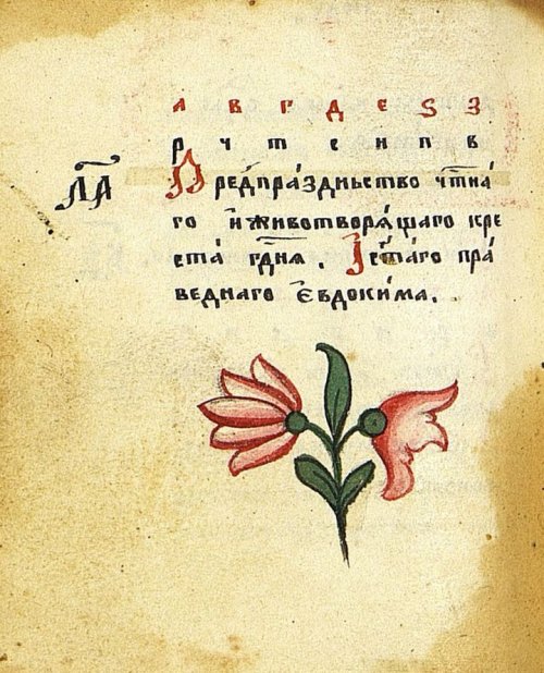Страница 218