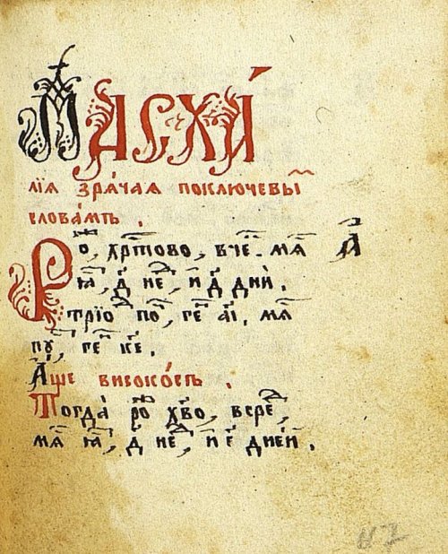 Страница 243