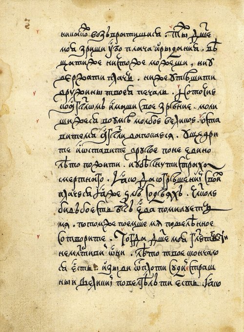 Страница 16