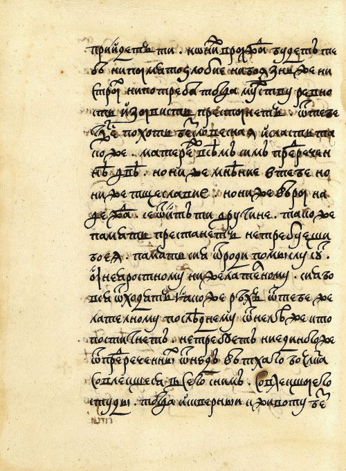 Страница 250