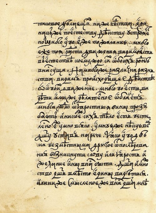 Страница 256