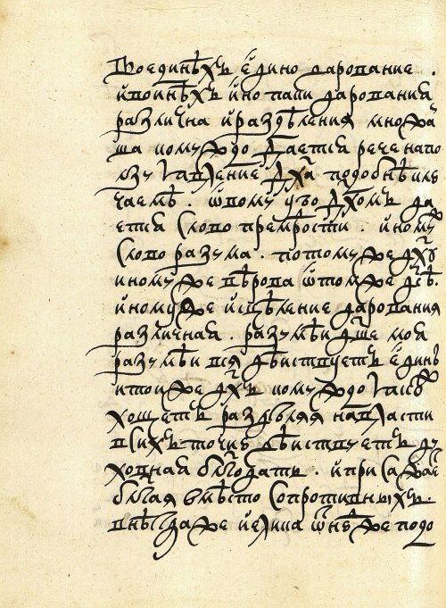 Страница 426