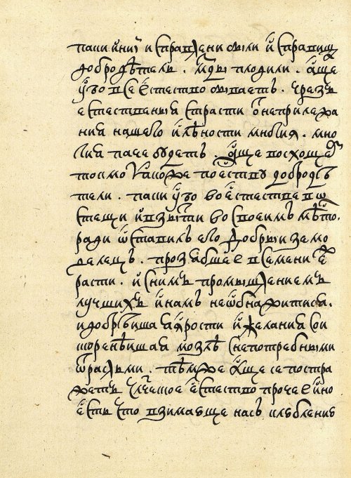 Страница 486