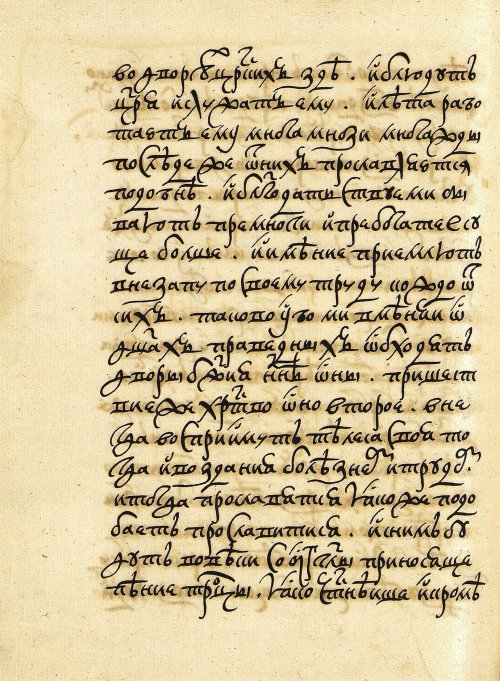 Страница 546