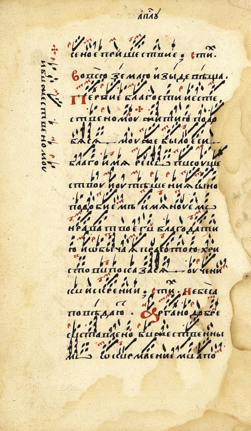Страница 22