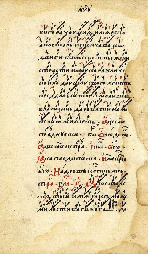 Страница 24