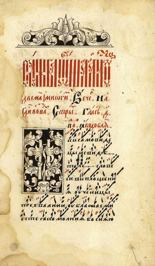 Страница 29
