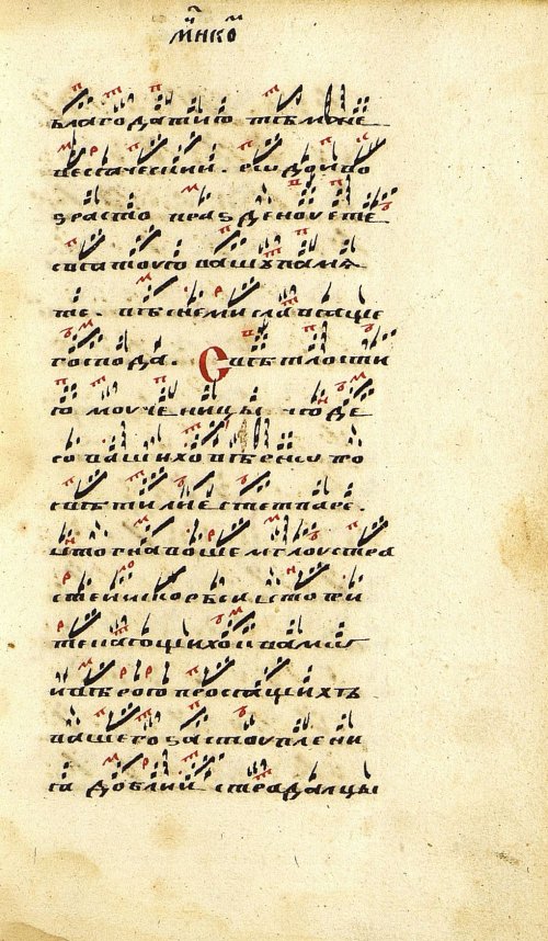 Страница 119