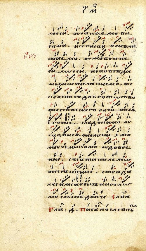 Страница 146