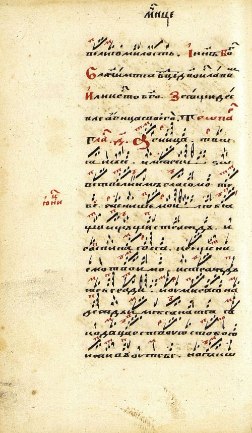 Страница 206