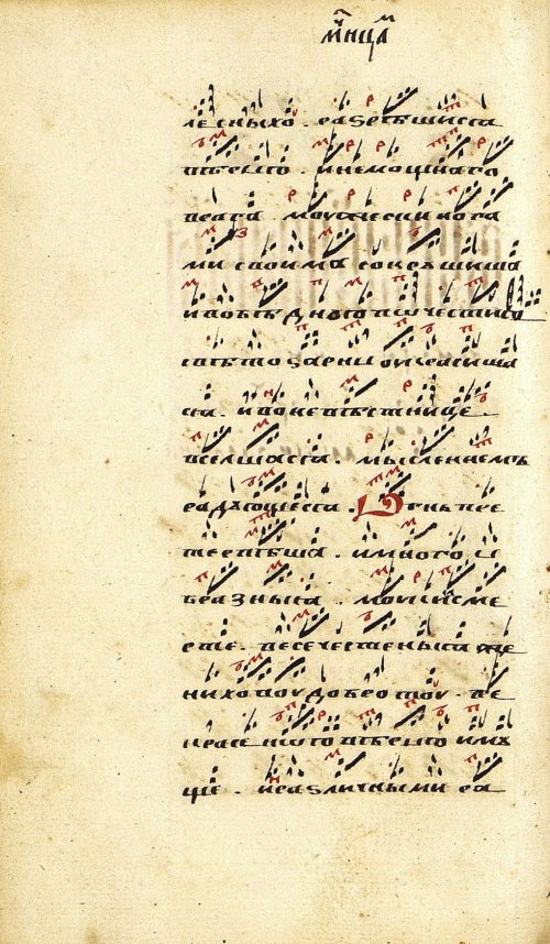 Страница 216