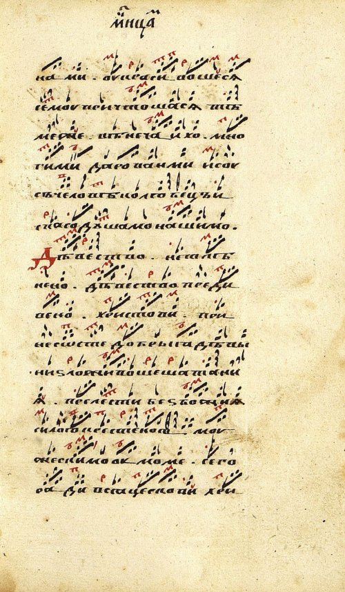 Страница 217