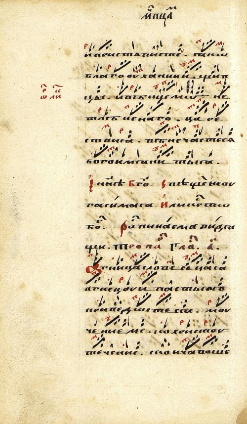 Страница 224