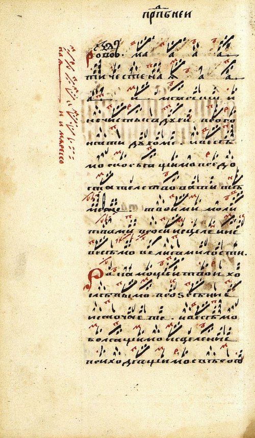 Страница 232