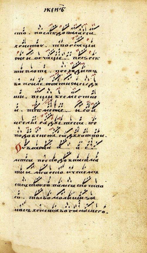 Страница 239