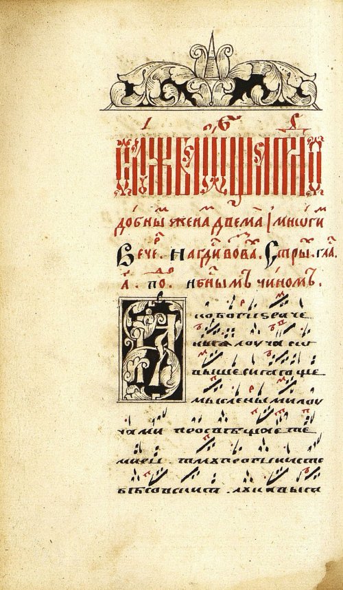 Страница 244