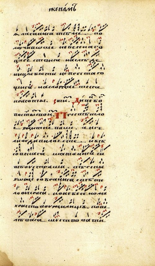 Страница 249