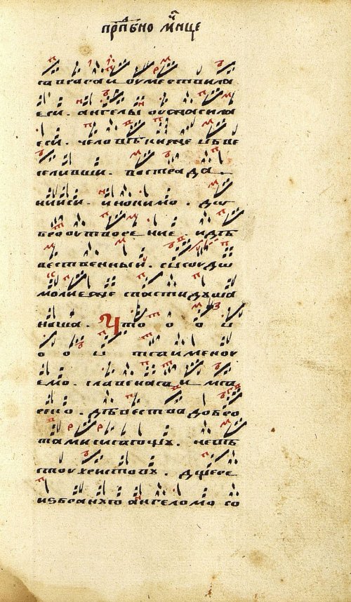Страница 259
