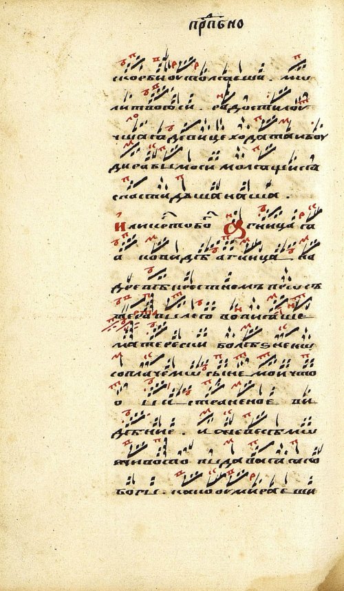 Страница 262
