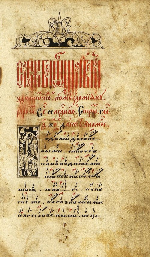 Страница 289