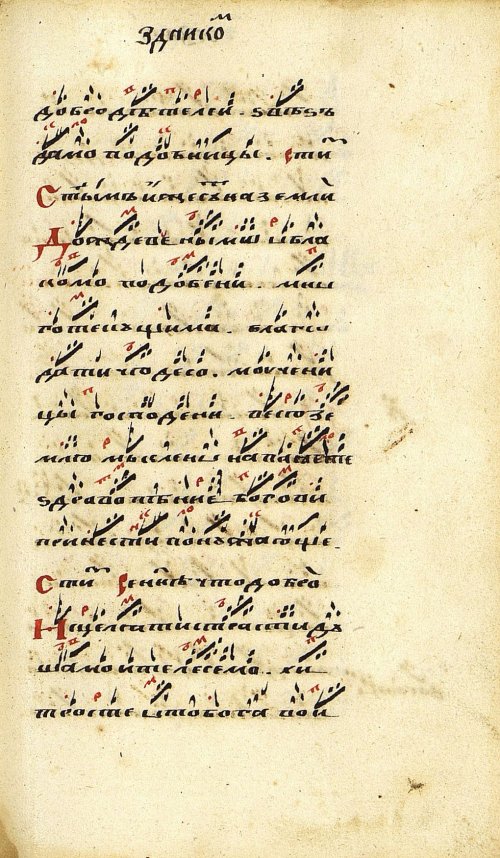 Страница 295