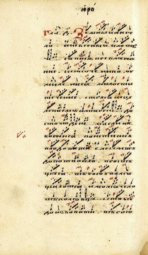 Страница 310