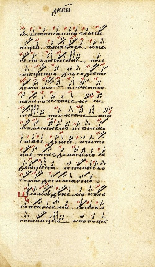 Страница 315