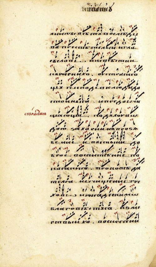 Страница 324