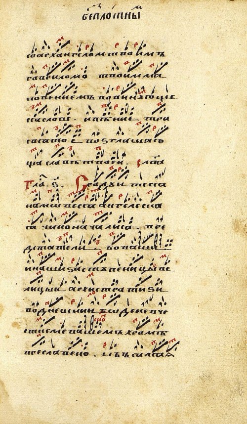 Страница 337