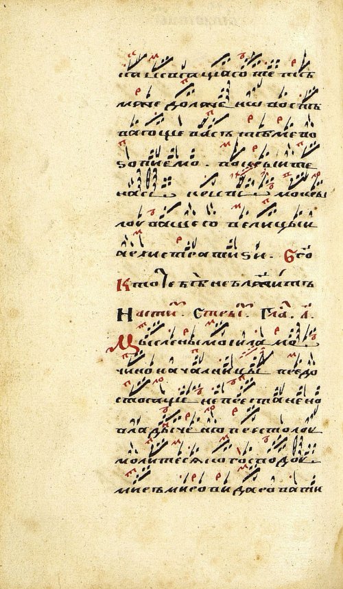 Страница 338