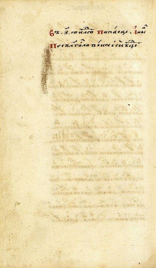 Страница 358