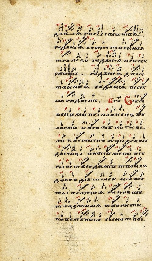 Страница 446