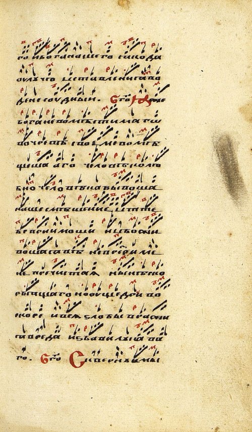 Страница 447