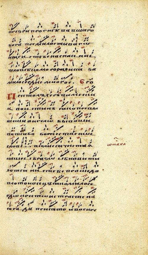 Страница 479