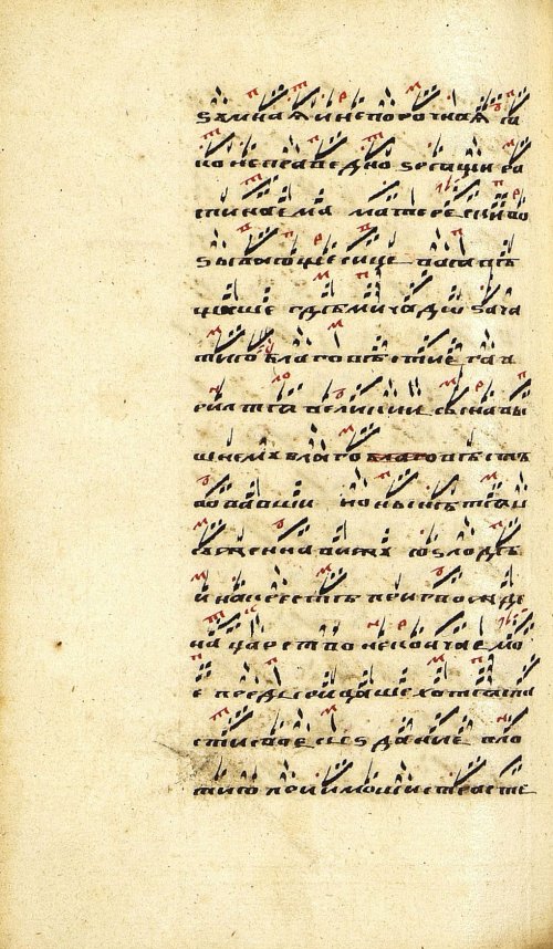 Страница 502