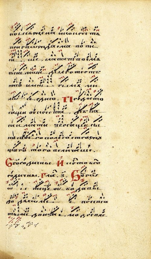 Страница 505