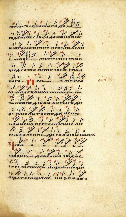 Страница 519