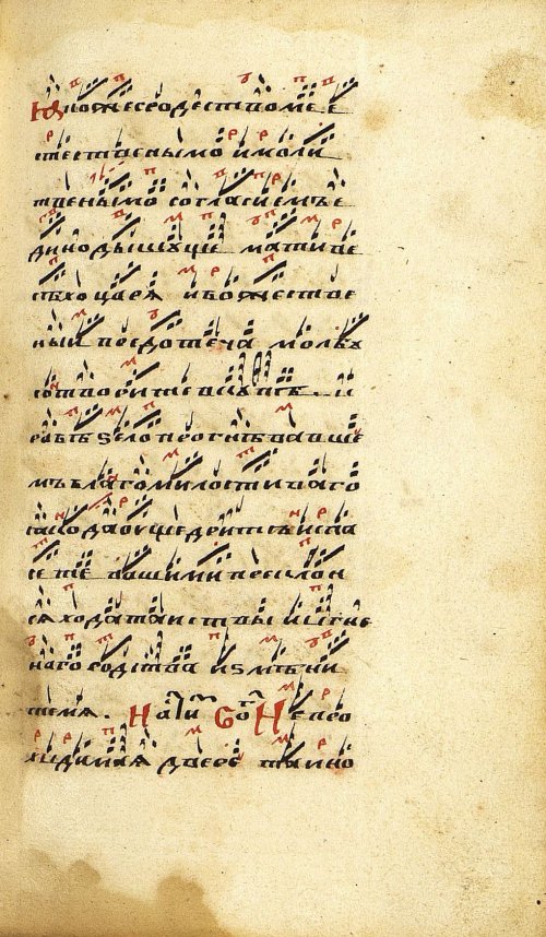 Страница 557