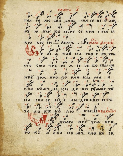 Страница 28