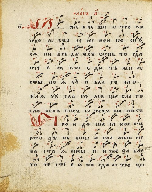 Страница 52