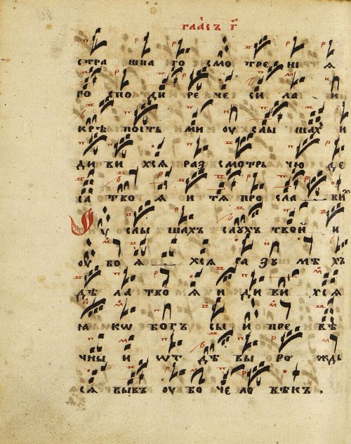 Страница 146