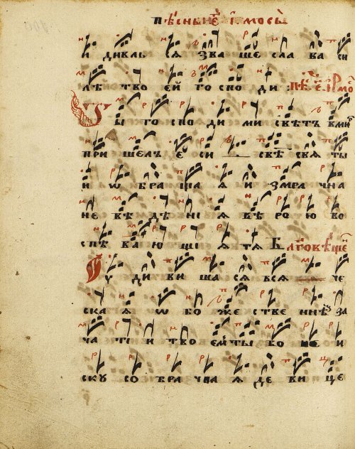 Страница 208
