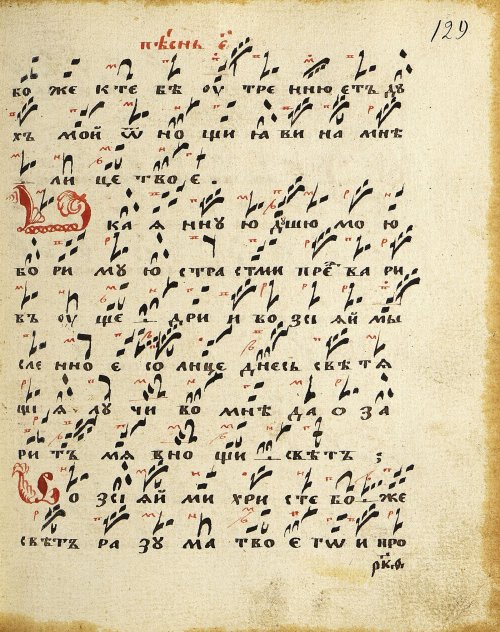 Страница 263