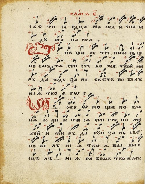 Страница 264