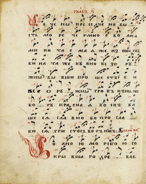 Страница 282
