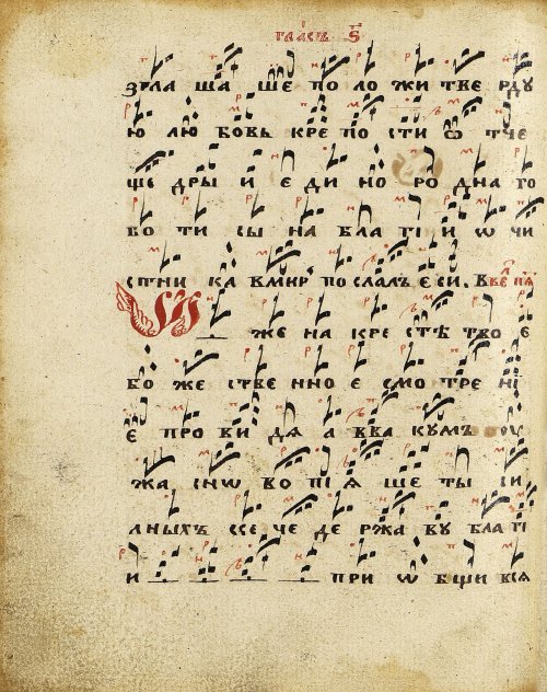Страница 292