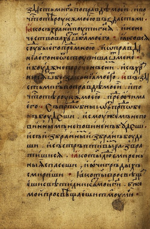 Страница 116