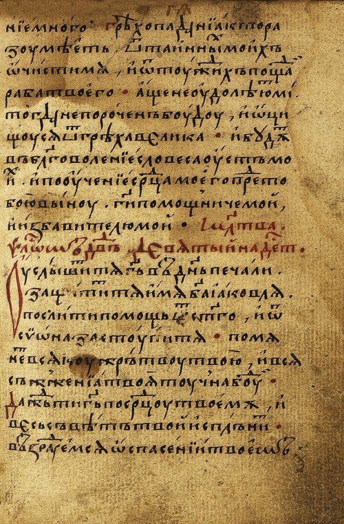 Страница 121