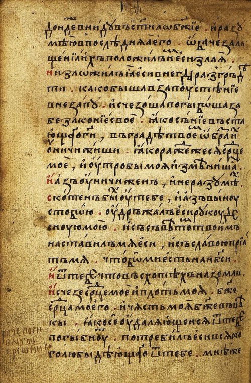 Страница 216